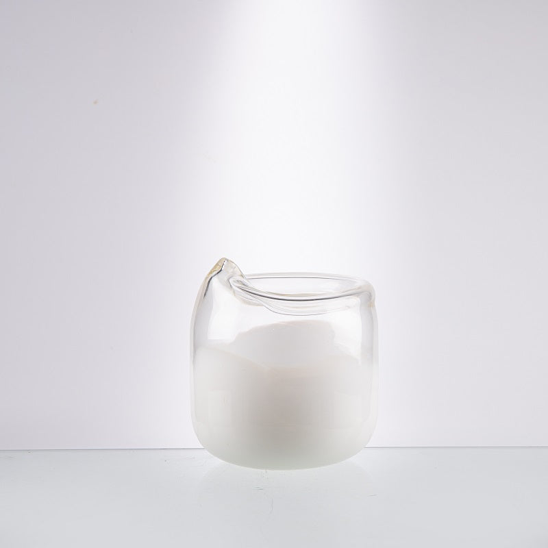 NATURAL ELEMENTS GLASS VASE