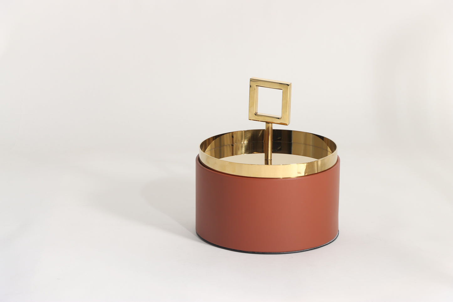 BROWN & GOLD MICRO-FIBER LEATHER & S/S STEEL & PVC STORAGE BOX